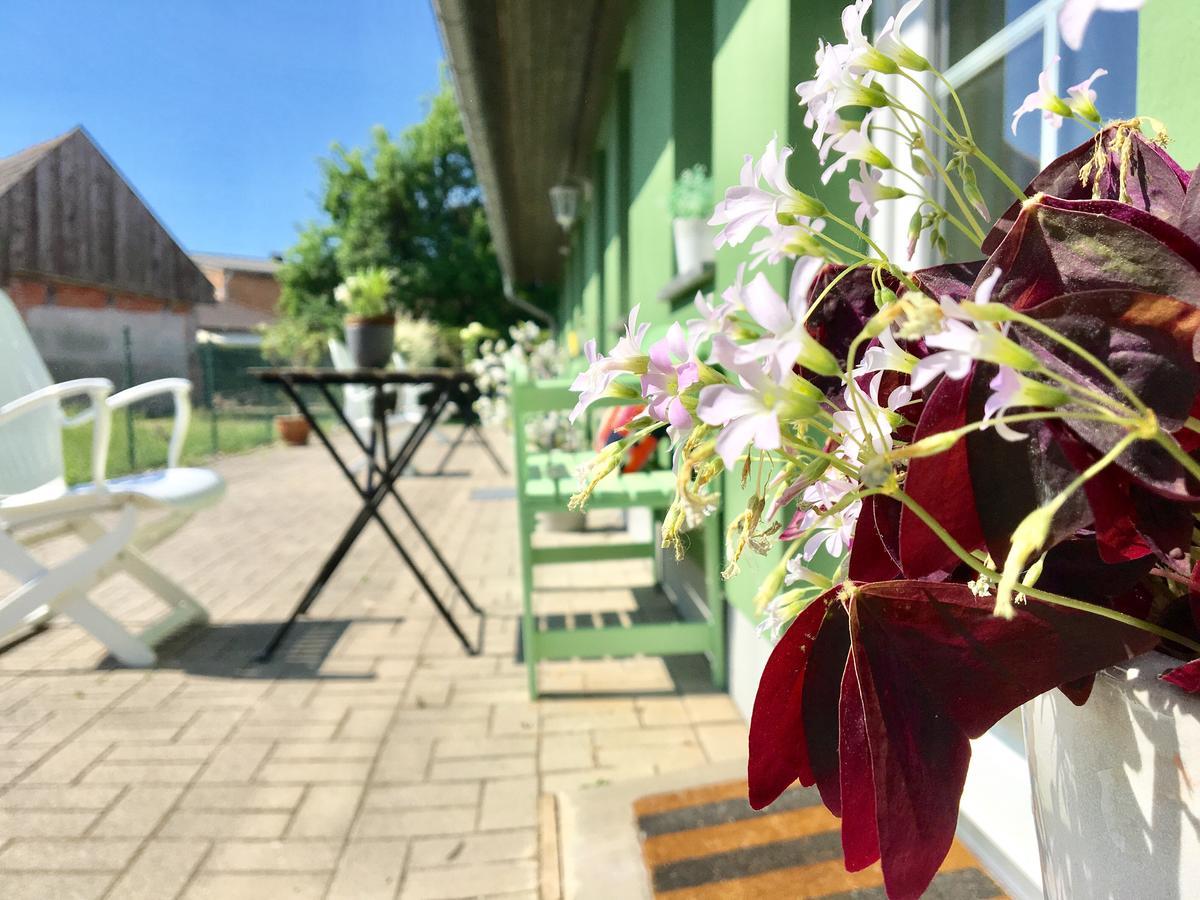 Apartmenthaus Luett Meer Ludorf Kültér fotó